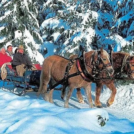 Reiner 2* Sankt Englmar