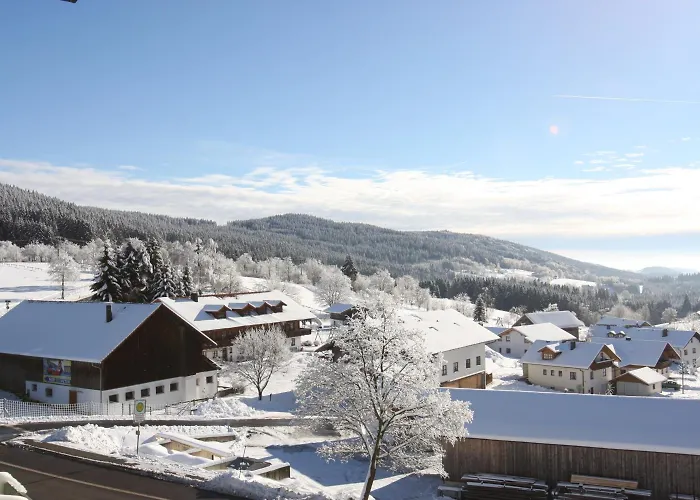 Reiner Hotel Sankt Englmar